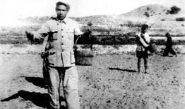 谷文昌,为民造福的“海岛绿洲”守护者