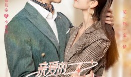 亲爱的契约男友,揭秘“亲爱的契约男友”背后的甜蜜与挑战