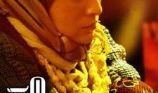 一个勺子,日常生活中的艺术与智慧