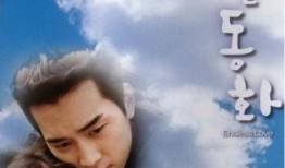 昨日恩今朝泪,岁月流转情意浓